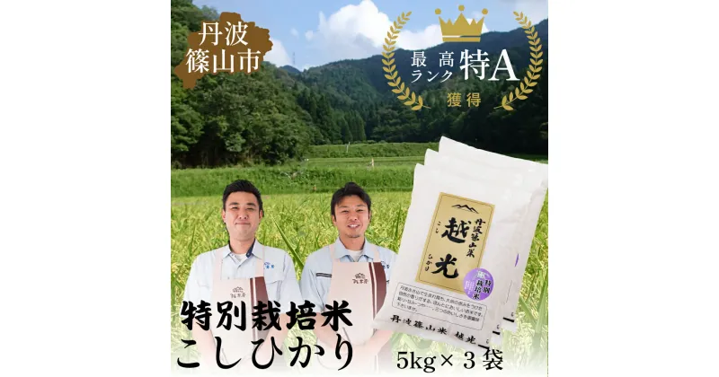 【ふるさと納税】令和6年産 丹波篠山産　特別栽培米　越光（農薬不使用）（5kg×3袋） | 丹波篠山 お米 おこめ ブランド米 ごはん ご飯 白米 米 コメ こめ 精米 精白米 ライス おいしい米 美味しいお米 兵庫県 お取り寄せ こしひかり コシヒカリ