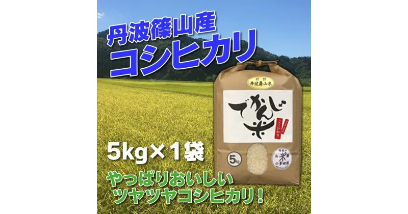 【ふるさと納税】【令和6年産 新米】お米のおいしさ伝えたい！丹波篠山産コシヒカリ5kg×1 | 白米 100％単一原料米 産地直送米 贈答 おいしい お米 精米 コシヒカリ ブランド おこめ 健康 ギフト 内祝い 贈り物 送料無料 おすすめ 人気 口コミ