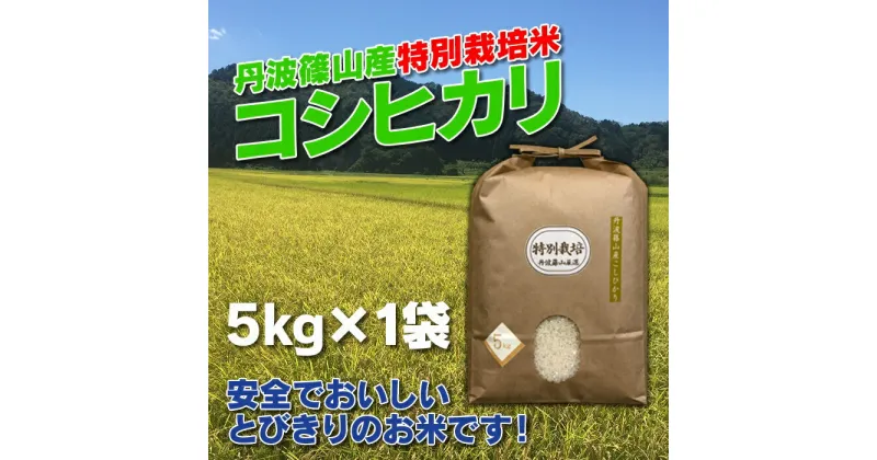 【ふるさと納税】【令和6年産 新米】お米のおいしさ伝えたい！特別栽培米コシヒカリ5kg×1 | 白米 100％単一原料米 産地直送米 贈答 おいしい お米 精米 コシヒカリ ブランド おこめ 健康 ギフト 内祝い 贈り物 送料無料 おすすめ 人気 口コミ