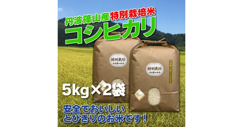 【ふるさと納税】【令和6年産 新米】お米のおいしさ伝えたい！特別栽培米コシヒカリ5kg×2 | 白米 100％単一原料米 産地直送米 贈答 おいしい お米 精米 コシヒカリ ブランド おこめ 健康 ギフト 内祝い 贈り物 送料無料 おすすめ 人気 口コミ