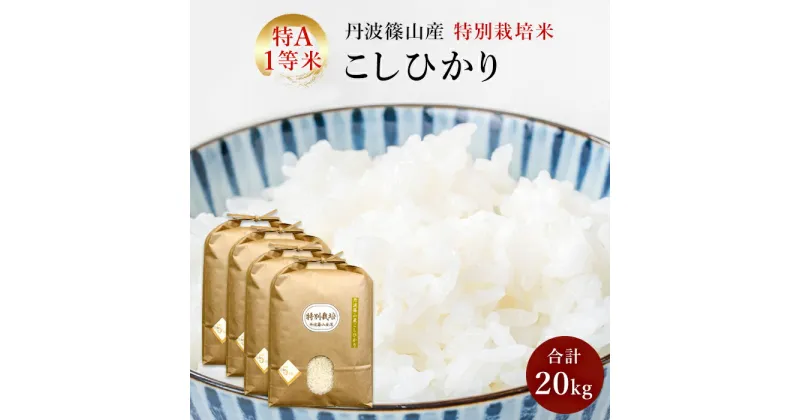 【ふるさと納税】【令和6年産 新米】お米のおいしさ伝えたい！特別栽培米コシヒカリ5kg×4 | 白米 100％単一原料米 産地直送米 贈答 おいしい お米 精米 コシヒカリ ブランド おこめ 健康 ギフト 内祝い 贈り物 送料無料 おすすめ 人気 口コミ