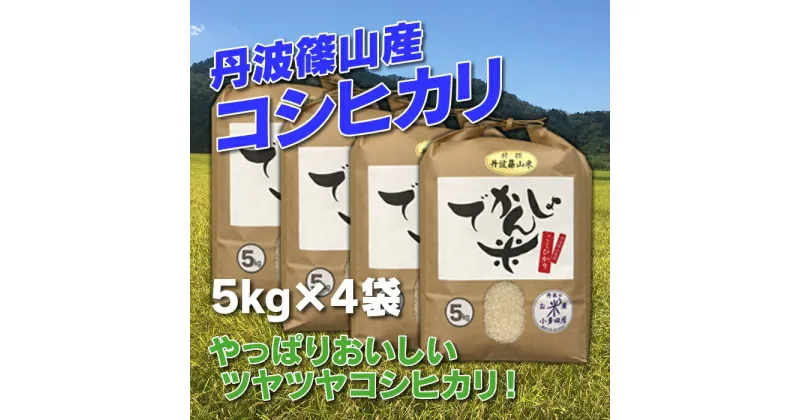 【ふるさと納税】【令和6年産 新米】お米のおいしさ伝えたい！丹波篠山産コシヒカリ5kg×4 | 白米 100％単一原料米 産地直送米 贈答 おいしい お米 精米 コシヒカリ ブランド おこめ 健康 ギフト 内祝い 贈り物 送料無料 おすすめ 人気 口コミ