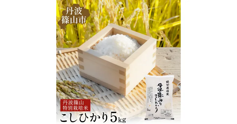 【ふるさと納税】令和6年 新米！　丹波篠山産 特Aランク特別栽培米 こしひかり 5kg 西の魚沼と呼ばれる 丹波篠山 越光！白米【100％単一原料米】産地直送米 贈答 おいしい お米 精米 コシヒカリ 米5 キロ ブランド おこめ 健康 お試し ギフト 内祝い 贈り物 送料無料