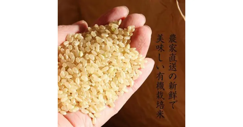 【ふるさと納税】令和6年産新米【有機栽培米】丹波篠山産コシヒカリ　玄米　5kg