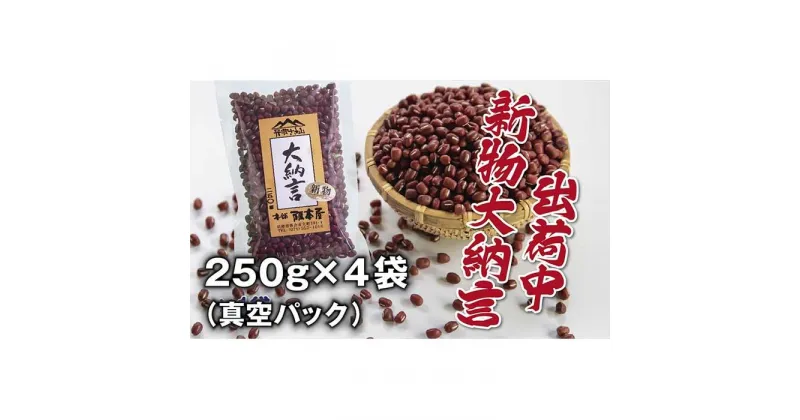 【ふるさと納税】令和5年産　丹波篠山産　大納言小豆（2L）　250g×4袋（真空パック）