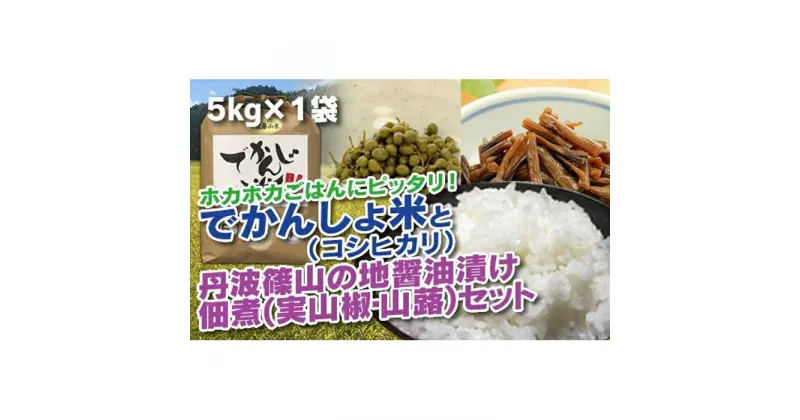 【ふるさと納税】【令和6年産 新米】 丹波篠山の地醤油漬、佃煮セット　でかんしょ米5kgと実山椒・山蕗 | 白米 100％単一原料米 産地直送米 贈答 おいしい お米 精米 コシヒカリ ブランド おこめ 健康 ギフト 内祝い 贈り物 送料無料 おすすめ 人気 口コミ