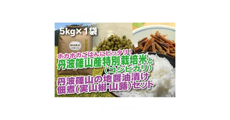 【ふるさと納税】【令和6年産 新米】 丹波篠山の地醤油漬、佃煮セット　特別栽培米5kgと実山椒・山蕗 | 白米 100％単一原料米 産地直送米 贈答 おいしい お米 精米 コシヒカリ ブランド おこめ 健康 ギフト 内祝い 贈り物 送料無料 おすすめ 人気 口コミ