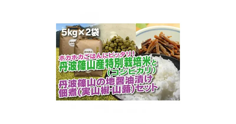 【ふるさと納税】【令和6年産 新米】 丹波篠山の地醤油漬、佃煮セット　特別栽培米5kg×2と実山椒・山蕗 | 白米 100％単一原料米 産地直送米 贈答 おいしい お米 精米 コシヒカリ ブランド おこめ 健康 ギフト 内祝い 贈り物 送料無料 おすすめ 人気 口コミ