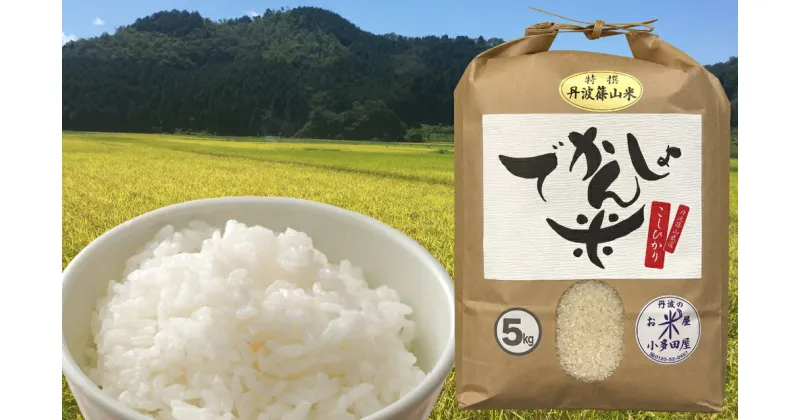 【ふるさと納税】【令和6年産 新米】 抜群の味と香り　丹波篠山産コシヒカリ5kg×1 実山椒醤油漬セット | 白米 100％単一原料米 産地直送米 贈答 おいしい お米 精米 コシヒカリ ブランド おこめ 健康 ギフト 内祝い 贈り物 送料無料 おすすめ 人気 口コミ