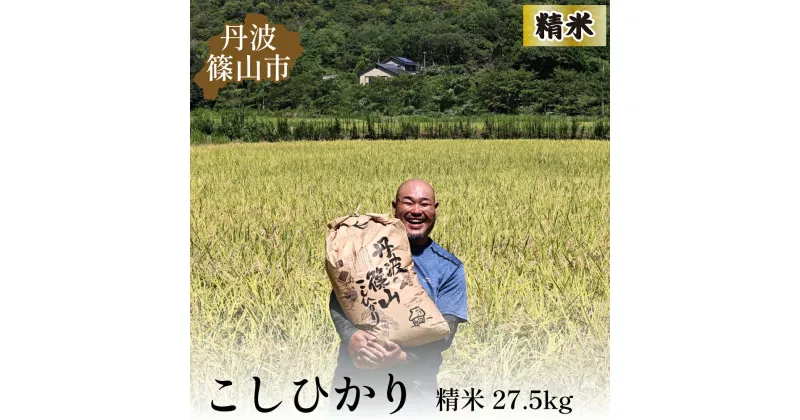 【ふるさと納税】【令和6年産新米】丹波篠山産コシヒカリ白米27.5kg | 100％単一原料米 産地直送米 贈答 おいしい お米 コシヒカリ ブランド おこめ 健康 ギフト 内祝い 贈り物 送料無料 おすすめ 人気 口コミ