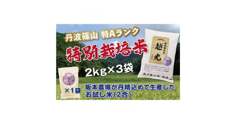 【ふるさと納税】令和6年産　丹波篠山産　特Aランク　特別栽培米　越光（2kg×3袋） | 丹波篠山 お米 おこめ ブランド米 ごはん ご飯 白米 米 コメ こめ 精米 精白米 ライス おいしい米 美味しいお米 兵庫県 お取り寄せ こしひかり コシヒカリ