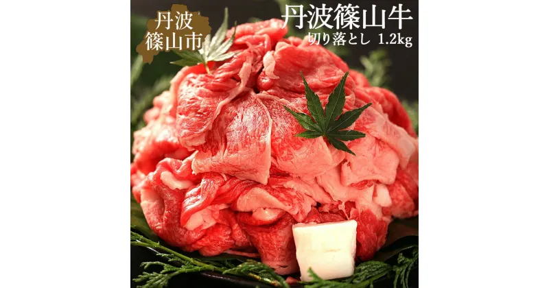 【ふるさと納税】丹波篠山牛 肉 牛肉 切り落とし 1.2kg ( 300g × 4パック )