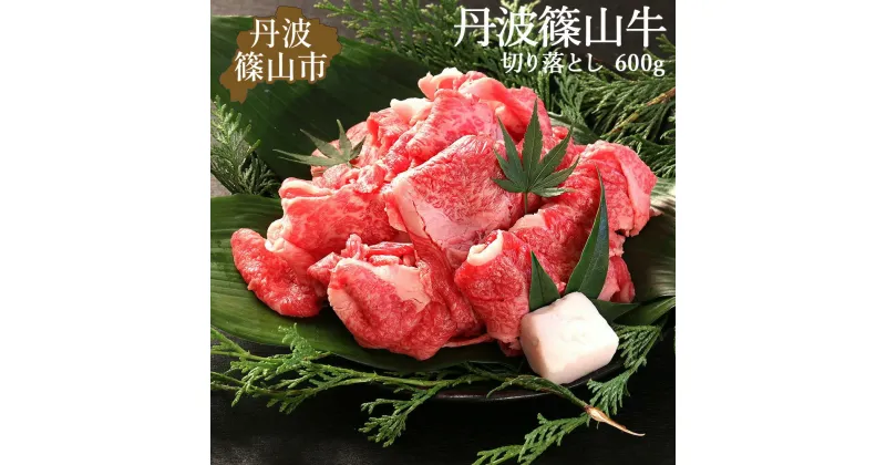 【ふるさと納税】丹波篠山牛 肉 牛肉 切り落とし 600g ( 300g × 2パック )