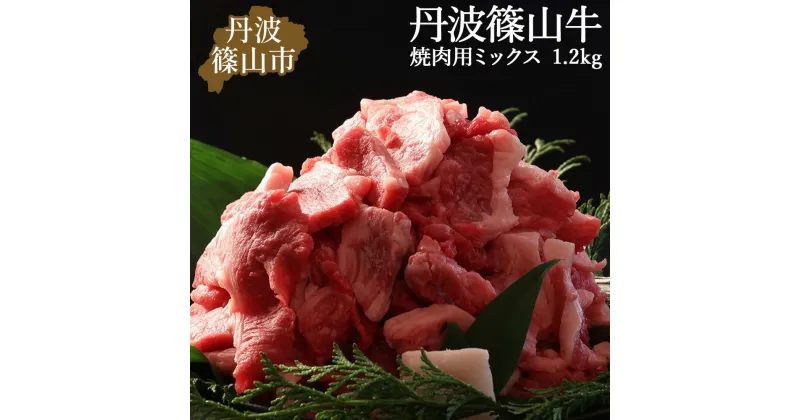 【ふるさと納税】訳あり 丹波篠山牛 肉 焼肉 1.2kg ( 600g × 2パック )