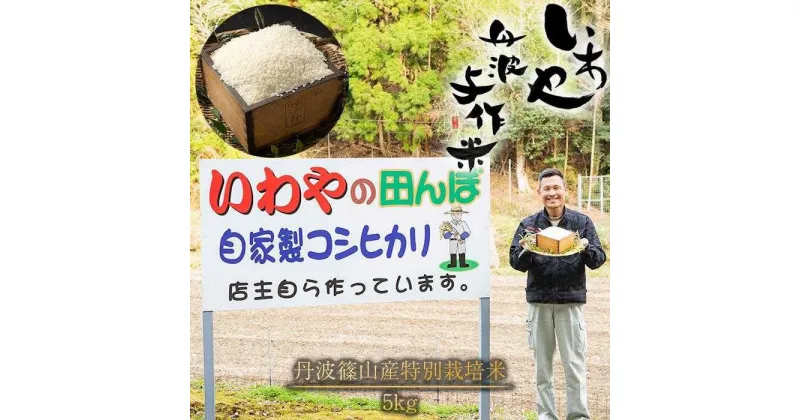 【ふるさと納税】令和6年産 新米! 丹波与作が作るいわやのお米 特別栽培米 5kg　丹波篠山産 こしひかり