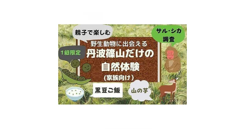 【ふるさと納税】【家族で楽しむ】野生動物に出会える　丹波篠山だけの自然体験