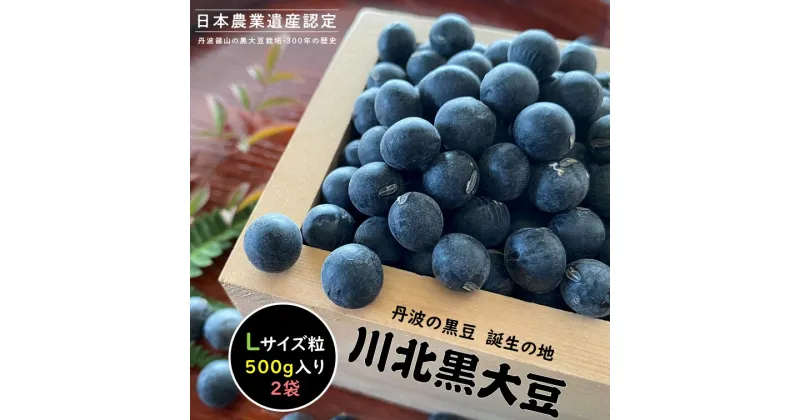 【ふるさと納税】【令和5年産（昨年収穫分）】川北黒大豆　Lサイズ粒　500g×2袋