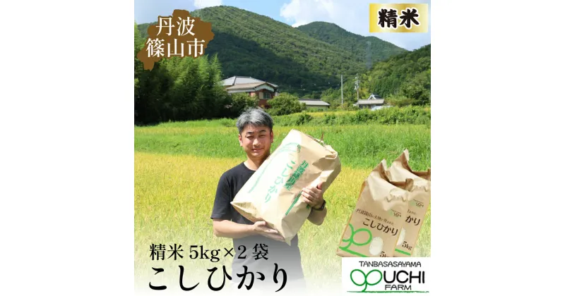 【ふるさと納税】令和6年産新米　丹波篠山の大地で育まれたコシヒカリ　精米10kg | 白米 100％単一原料米 産地直送米 贈答 おいしい お米 コシヒカリ ブランド おこめ 健康 ギフト 内祝い 贈り物 送料無料 おすすめ 人気 口コミ