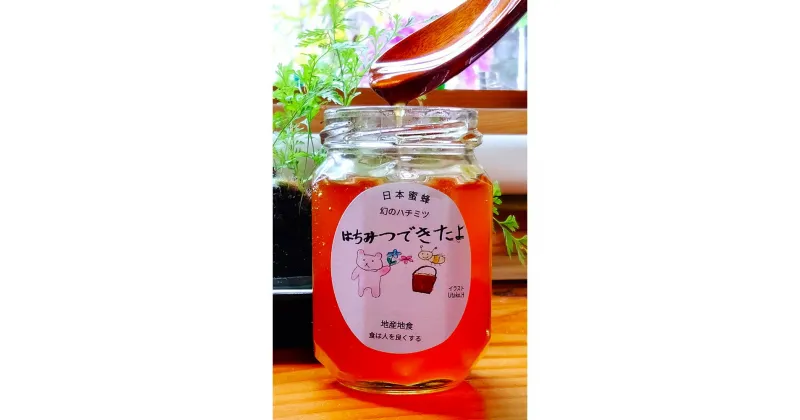 【ふるさと納税】日本ミツバチの非加熱生はちみつ 170g ハニー HONEY 蜂蜜 国産蜂蜜 国産ハチミツ 健康 純粋 国産 母 父 女性 男性 30代 40代 50代 60代 70代 80代 お取り寄せグルメ 贈答品