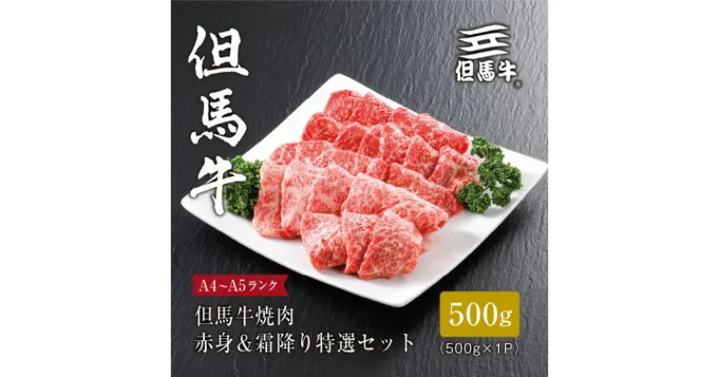 【ふるさと納税】【但馬牛】焼肉 赤身&霜降り 特選セット500g【配送不可地域：離島】【1313161】