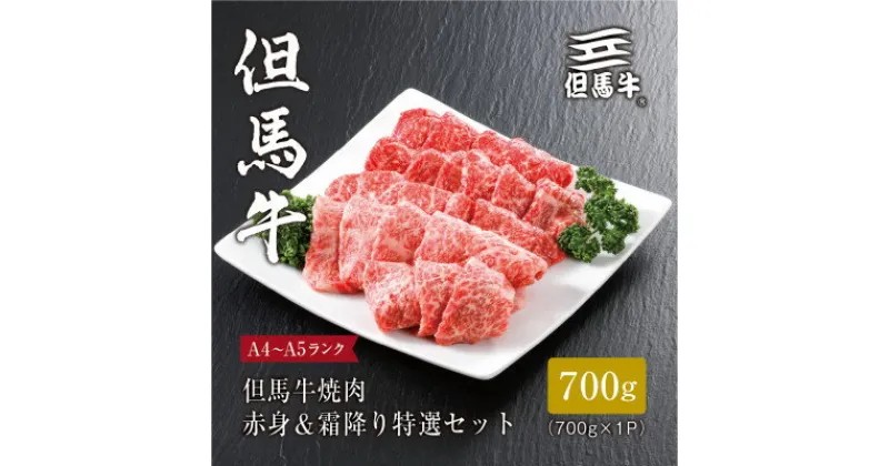 【ふるさと納税】【但馬牛】焼肉 赤身&霜降り 特選セット700g【配送不可地域：離島】【1313170】