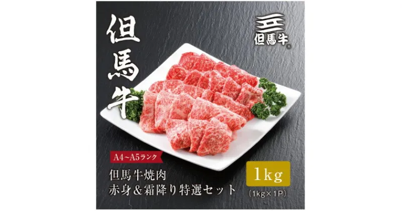 【ふるさと納税】【但馬牛】 焼肉 赤身&霜降り 特選セット1kg【配送不可地域：離島】【1313387】