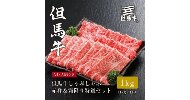 【ふるさと納税】【但馬牛】 しゃぶしゃぶ 赤身&霜降り 特選セット1kg【配送不可地域：離島】【1313390】