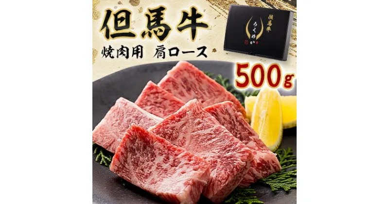 【ふるさと納税】但馬牛焼肉セット 500g【配送不可地域：離島】【1339949】