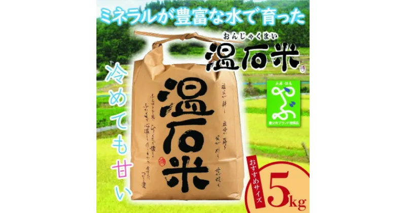 【ふるさと納税】甘くて、冷めても美味しい「温石米」5kg(2024年収穫米)【1363254】