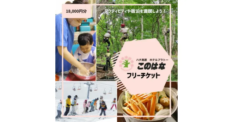 【ふるさと納税】【宿泊や体験などに使える】このはなフリーチケット18,000円分【1373794】