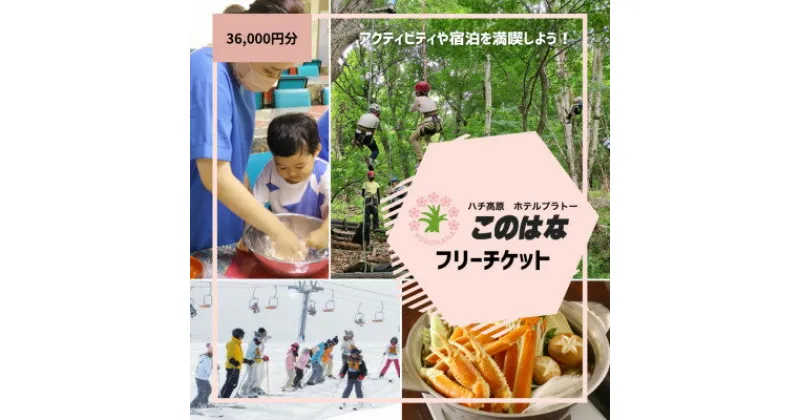 【ふるさと納税】【宿泊や体験などに使える】このはなフリーチケット36,000円分【1373800】