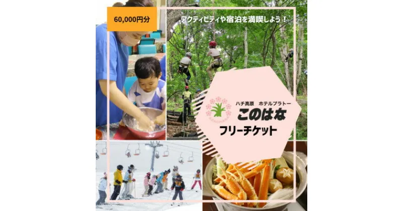 【ふるさと納税】【宿泊や体験などに使える】このはなフリーチケット60,000円分【1373803】