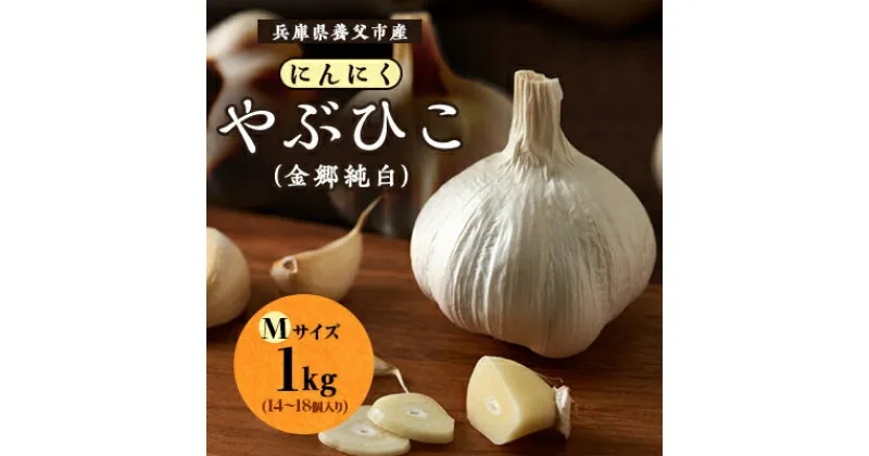 【ふるさと納税】兵庫県養父市産　にんにく「やぶひこ(金郷純白)」　Mサイズ1kg【1091748】