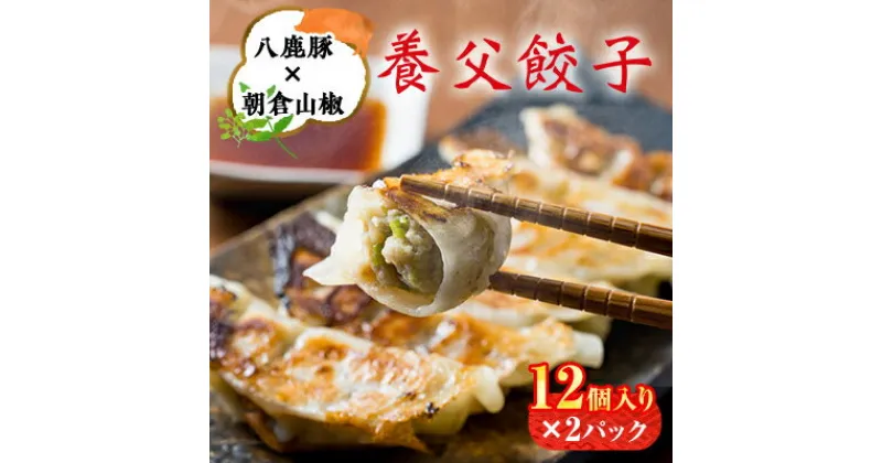 【ふるさと納税】八鹿豚味わう養父餃子(要冷凍/12個入り)×2パック【配送不可地域：離島】【1418071】