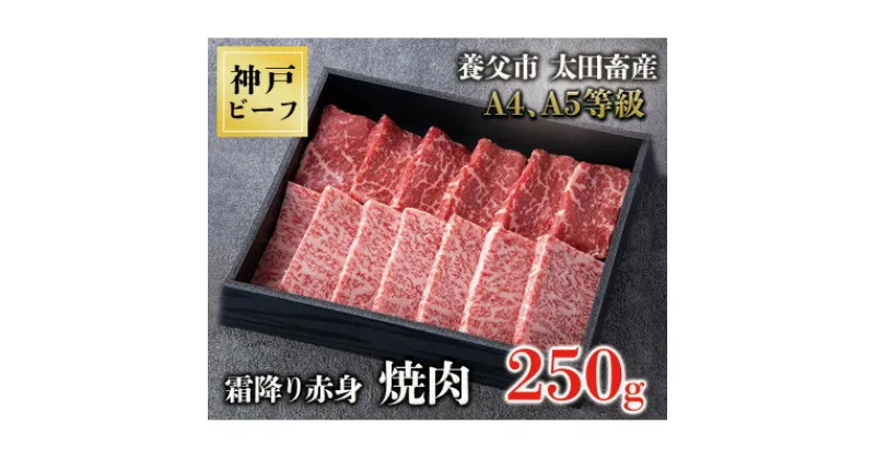 【ふるさと納税】神戸牛　霜降赤身焼肉　250g【化粧箱】【配送不可地域：離島】【1428068】