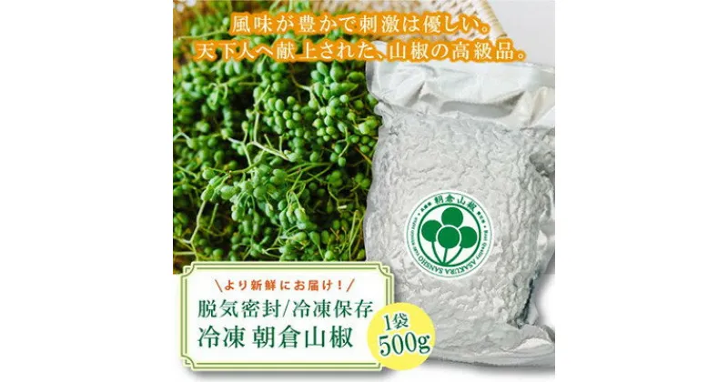 【ふるさと納税】朝倉山椒　兵庫県養父市産　冷凍　500g【配送不可地域：離島】【1409907】