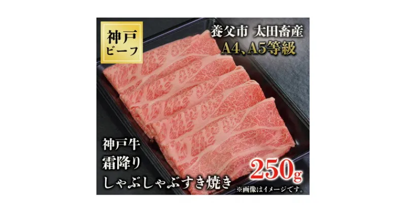 【ふるさと納税】神戸牛　霜降りしゃぶしゃぶすき焼き　250g【配送不可地域：離島】【1443009】