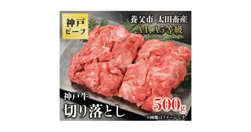 【ふるさと納税】神戸牛　切り落とし　500g【配送不可地域：離島】【1443412】