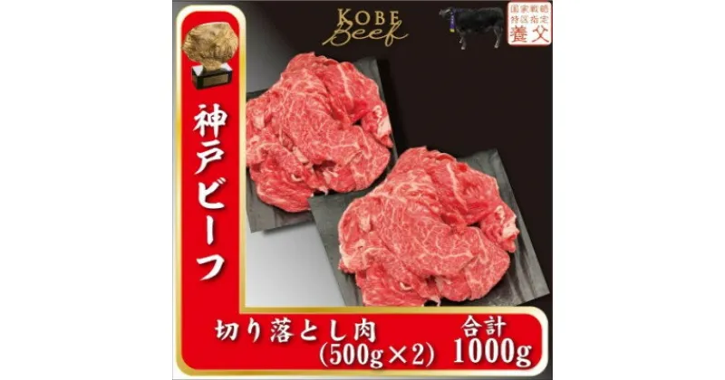 【ふるさと納税】神戸ビーフ　切り落とし肉　500g×2　計1000g　YBS2S【配送不可地域：離島】【1498632】