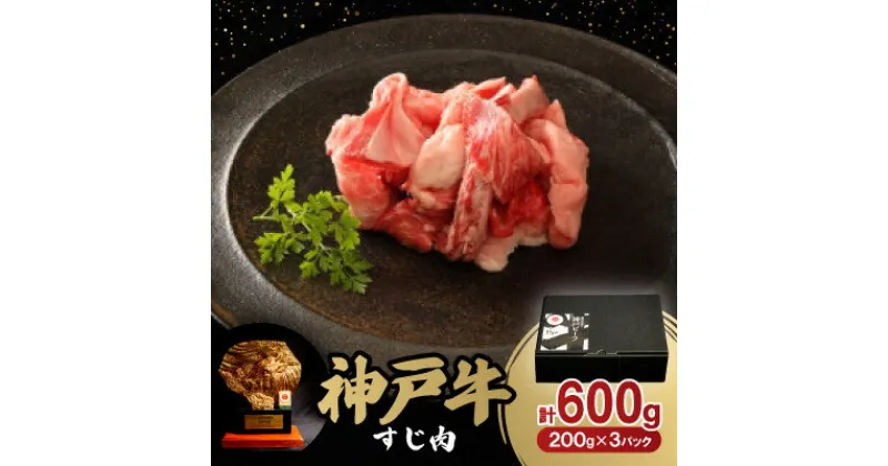 【ふるさと納税】神戸牛すじ肉600g【配送不可地域：離島】【1527761】