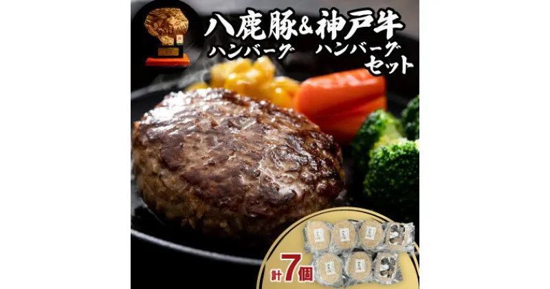 【ふるさと納税】八鹿豚ハンバーグ&神戸牛ハンバーグセット【配送不可地域：離島】【1527758】