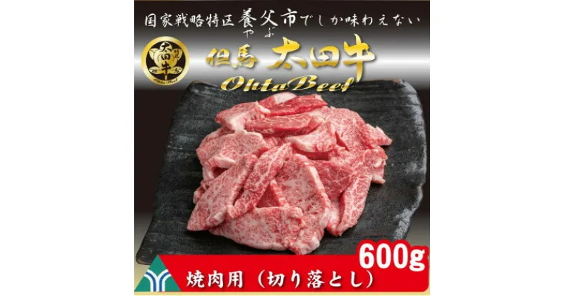 【ふるさと納税】訳あり 但馬 太田牛 焼肉用(切り落とし) 600g OY1【配送不可地域：離島】【1551652】