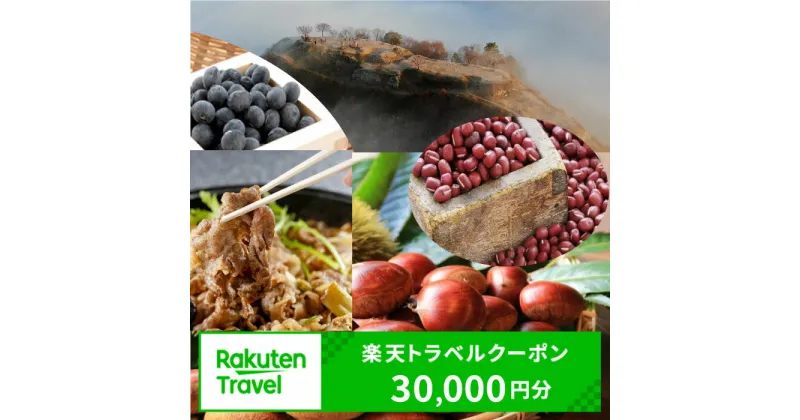 【ふるさと納税】兵庫県丹波市の対象施設で使える楽天トラベルクーポン寄付額100,000円