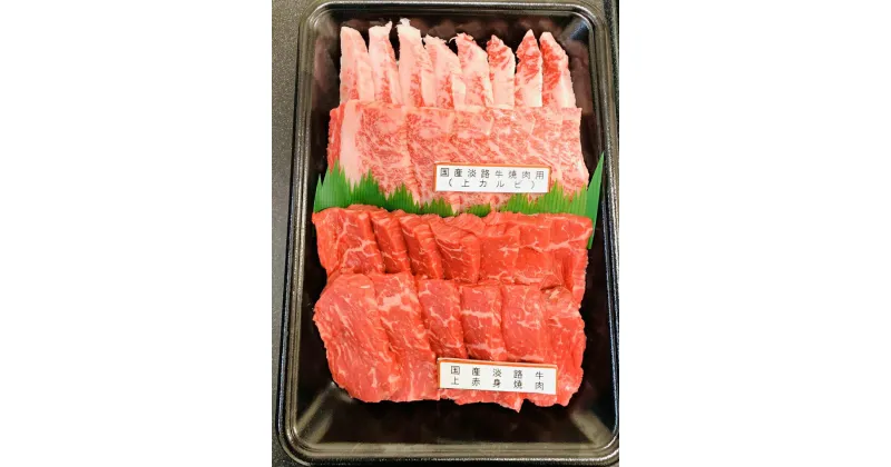 【ふるさと納税】 ふるさと納税 焼肉 国産淡路牛上赤身焼肉×上カルビ 500g