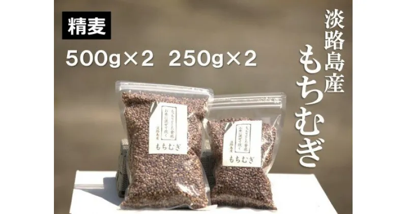 【ふるさと納税】【マルジンファーム】淡路島 南あわじ産　もちむぎ（ダイシモチ）　1.5kg