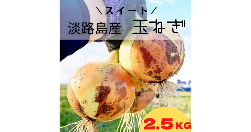 【ふるさと納税】【KR.】淡路島スイートオニオン 淡路島産玉ねぎ　2.5kg