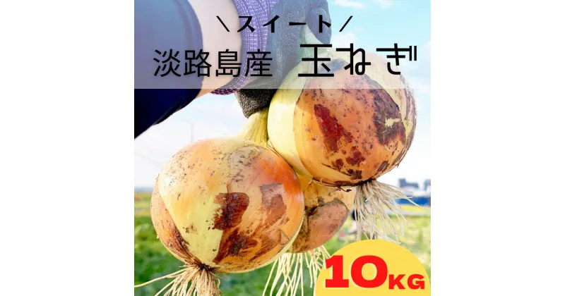 【ふるさと納税】【KR.】淡路島スイートオニオン 淡路島産玉ねぎ　10kg