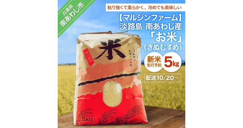 【ふるさと納税】【令和6年 新米】淡路島 南あわじ産　お米（きぬむすめ）5Kg◆配送10月20日～