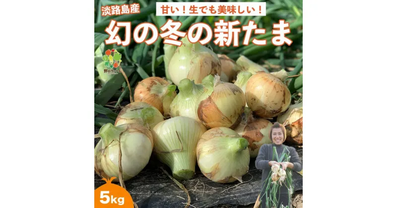 【ふるさと納税】幻の冬の新たまねぎ 5kg　約15個入◆配送12月～