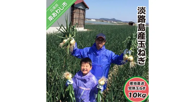 【ふるさと納税】淡路島産玉ねぎ 10kg